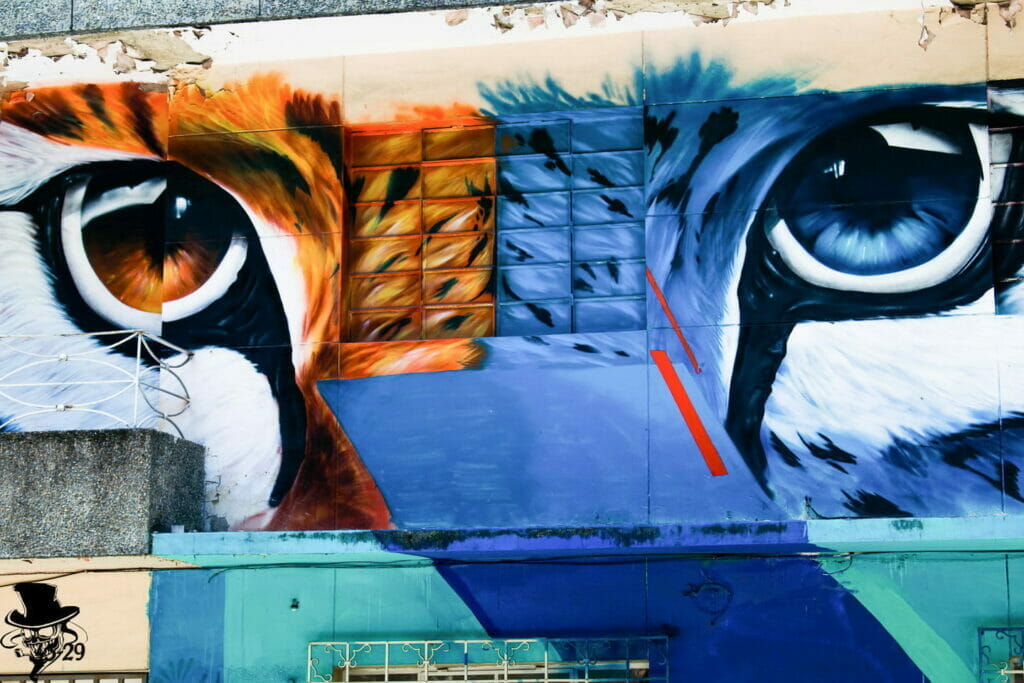 Graffiti Tour en la comuna 13 de Medellin, blog de viaje