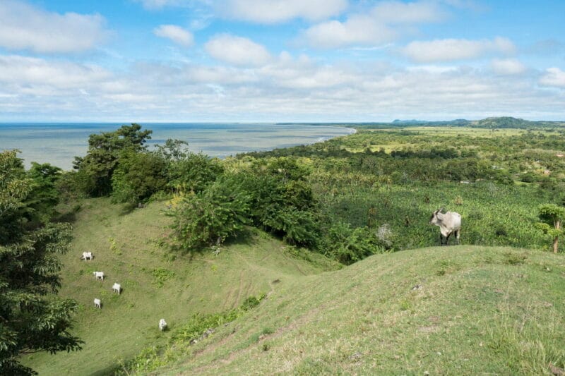 Necoclí perla del turismo durable en Colombia