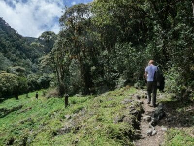 Trek au parc los nevados randonnée colombie