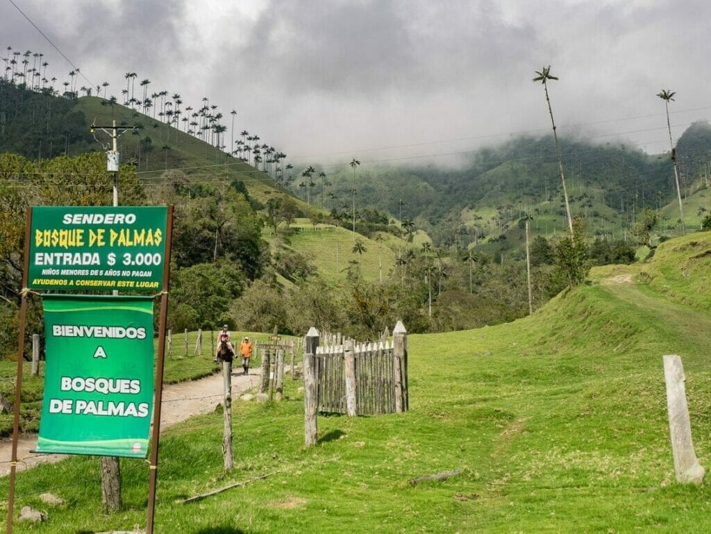 Valle del Cocora, blog de viaje por Colombia