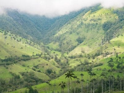 Valle del Cocora, blog de viaje por Colombia