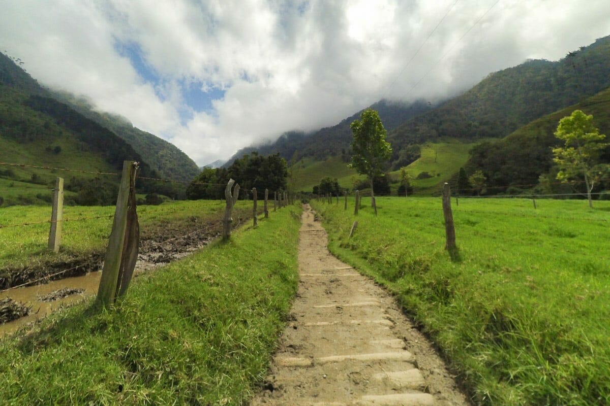 Valle del Cocora, blog de caviare por Colombia
