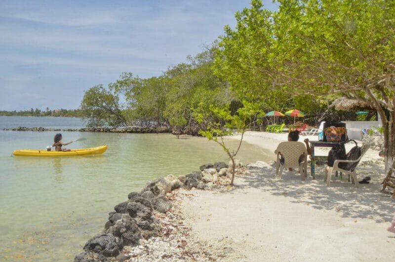 isla tintipan hotel punta norte
