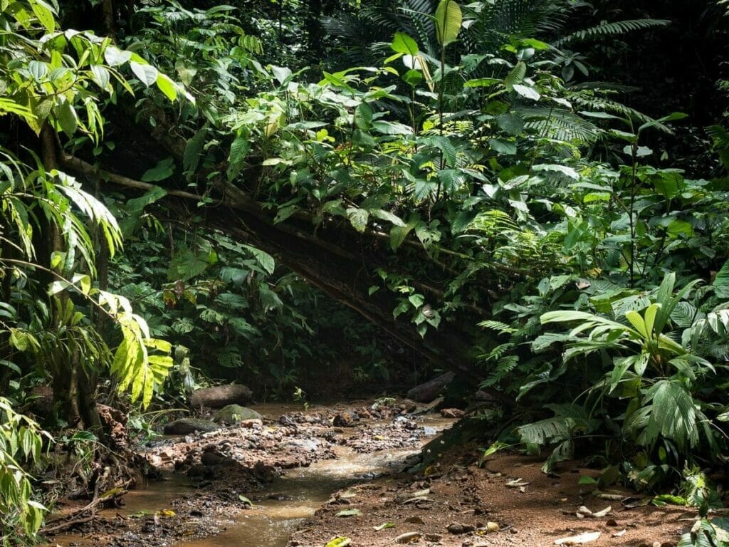 Parque natural de Utria, Choco, blog de viaje por Colombia