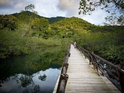 Parque natural de Utria, Choco, blog de viaje por Colombia