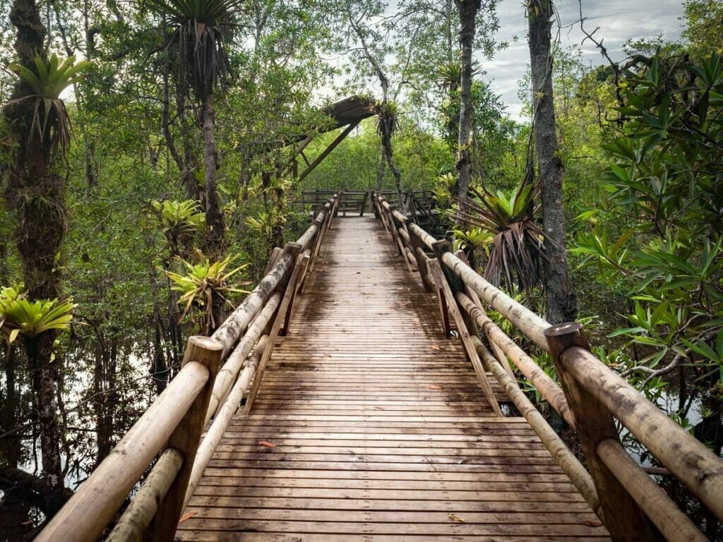 Parque natural de Utria, Choco, blog de viaje por Colombia