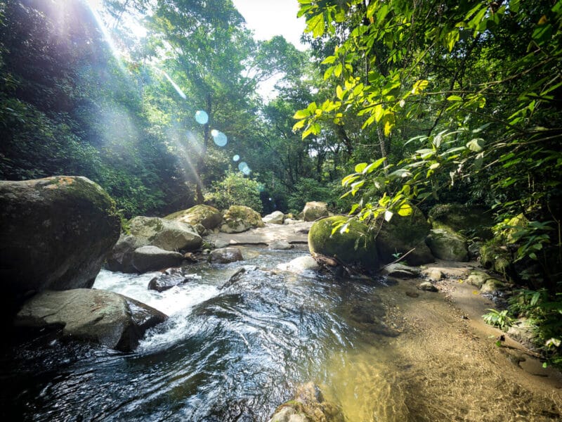 Conocer Minca, Sierra Nevada de Santa Marta