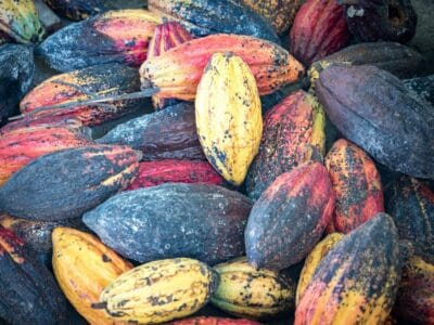 Minca en la Sierra Nevada de Santa Marta, blog de viaje por Colombia