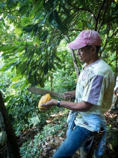 Minca en la Sierra Nevada de Santa Marta, blog de viaje por Colombia
