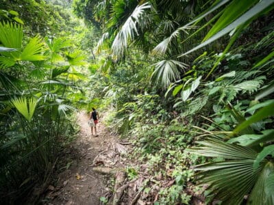 Minca en la Sierra Nevada de Santa Marta, blog de viaje por Colombia
