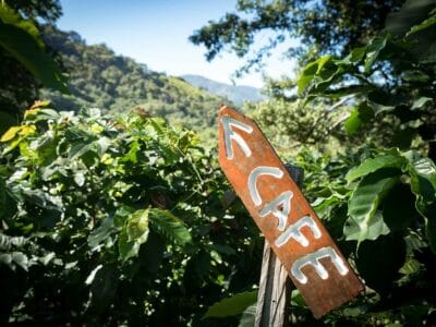 Minca en la Sierra Nevada de Santa Marta, blog de viaje por Colombia