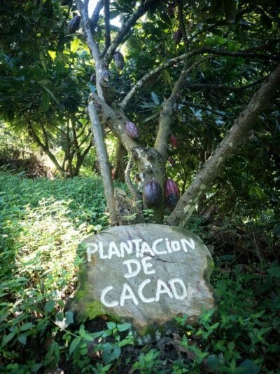 Minca en la Sierra Nevada de Santa Marta, blog de viaje por Colombia