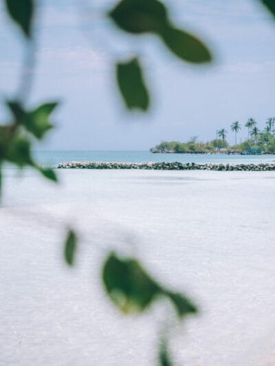 Islas Múcura y Tintipan, paraíso en el archipiélago de San Bernardo ?