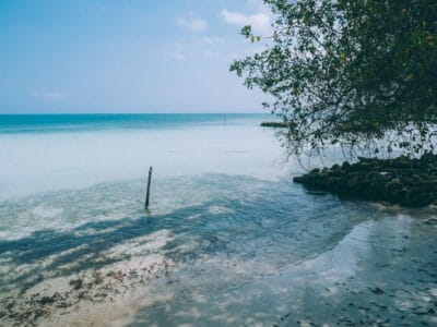 Islas Múcura y Tintipan, paraíso en el archipiélago de San Bernardo ?