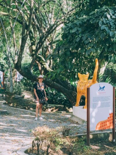 Viajar a Cali, los mejores planes para hacer en Cali