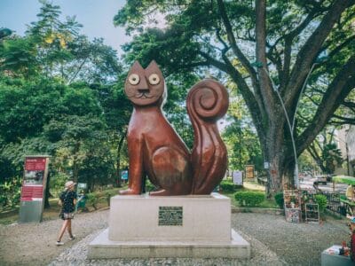 Que hacer en Cali, los mejores lugares para visitar