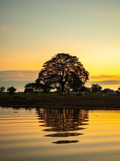 Atardecer llanero, Casanare, blog de viaje por Colombia