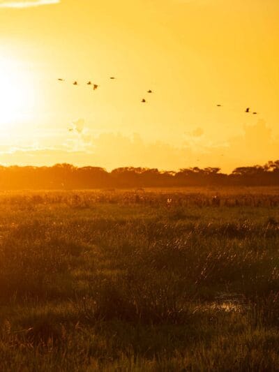 Atardecer llanero, Casanare, blog de viaje por Colombia