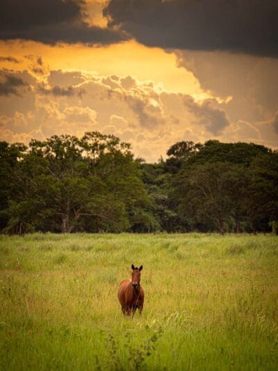Atardecer llanero, Casanare, blog de viaje por Colombia