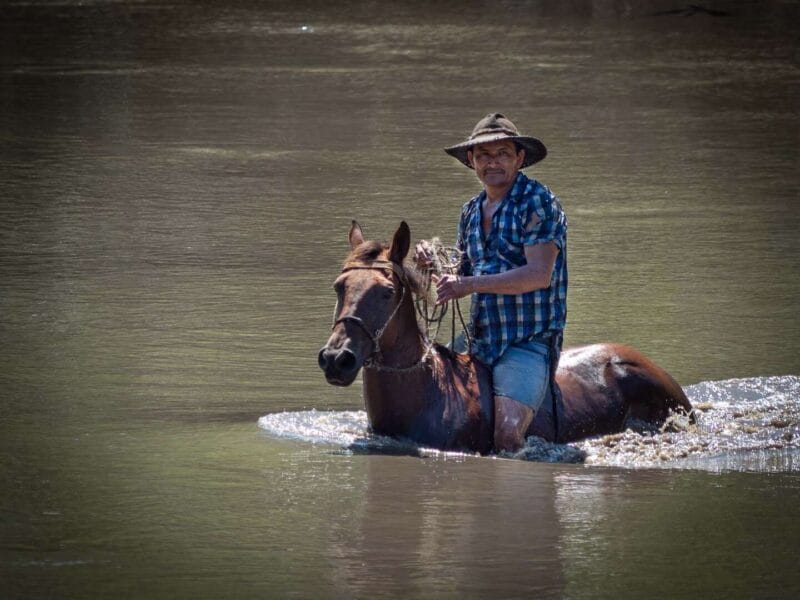 Visitar Casanare, Un Safari mágico en el corazón de los Llanos