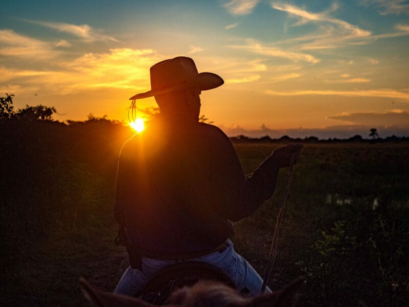 Visitar Casanare, Un Safari mágico en el corazón de los Llanos