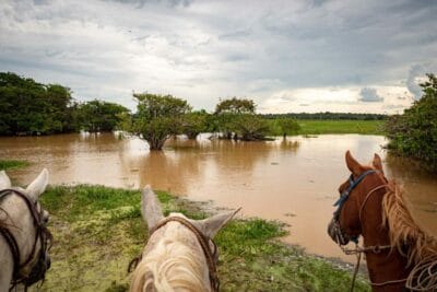 Hato Los deseos, Safari llenero en el Casanare, blog de viaje por Colombia