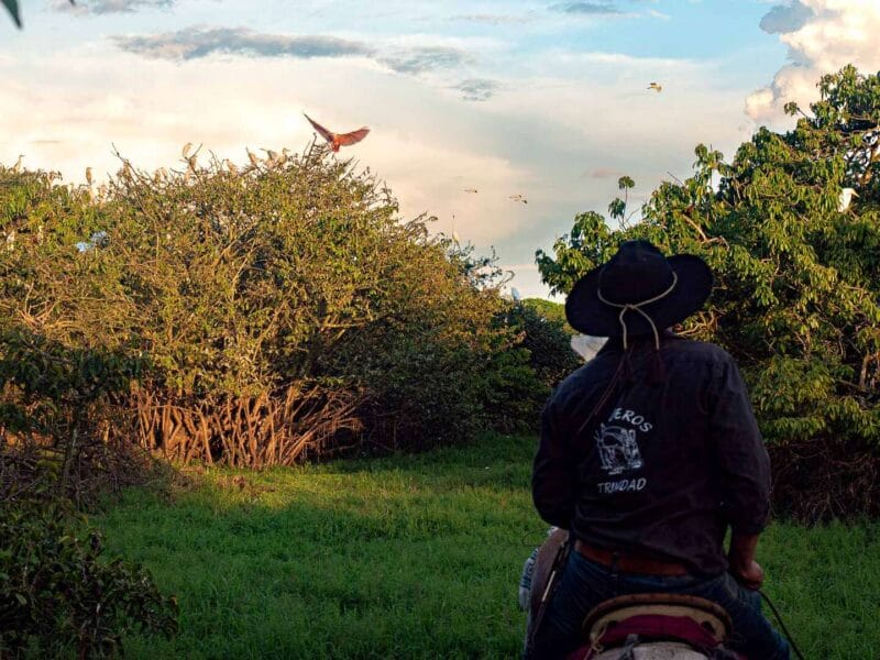 Hato Las Gaviotas, Safari llenero en el Casanare, blog de viaje por Colombia
