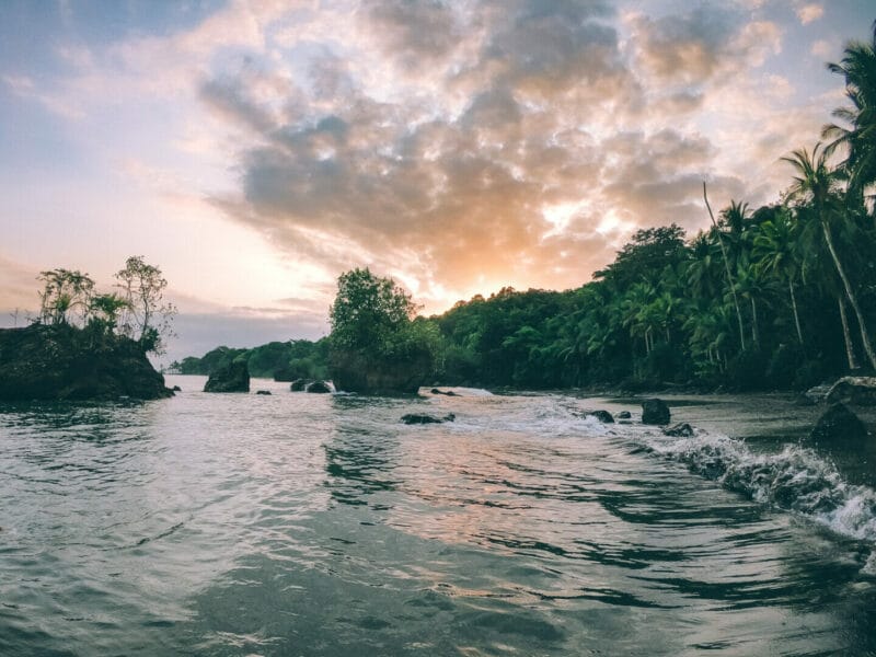 Agencia para visitar la Costa Pacífica del Chocó