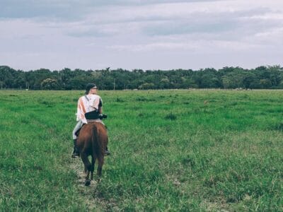 Visitar el Hato los deseos en el Casanare