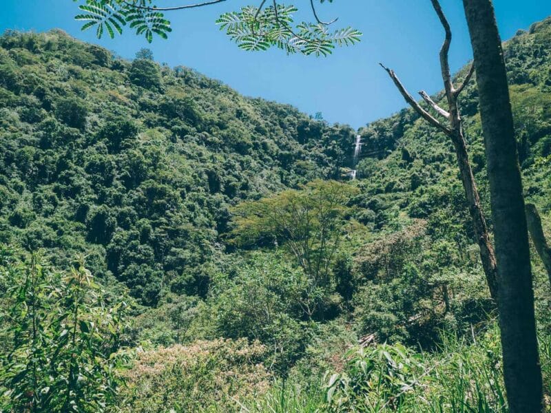 Las cascadas de Juan Curi ¿Las cascadas más hermosas de Santander?