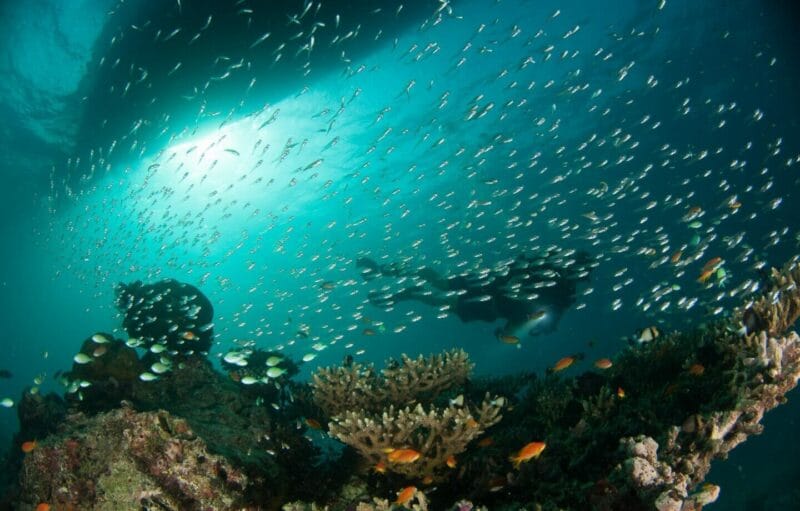 Buceo en Colombia