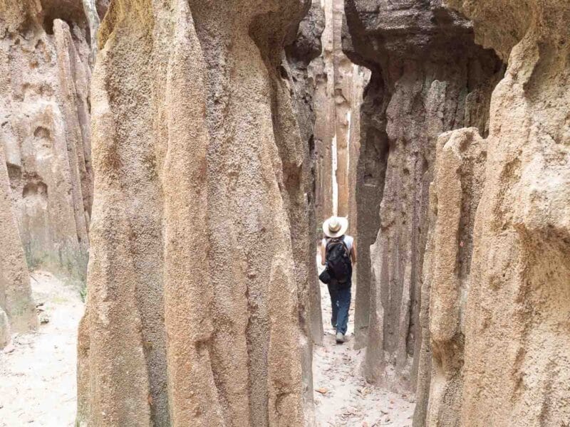 Visitas guiadas para hacer en Colombia