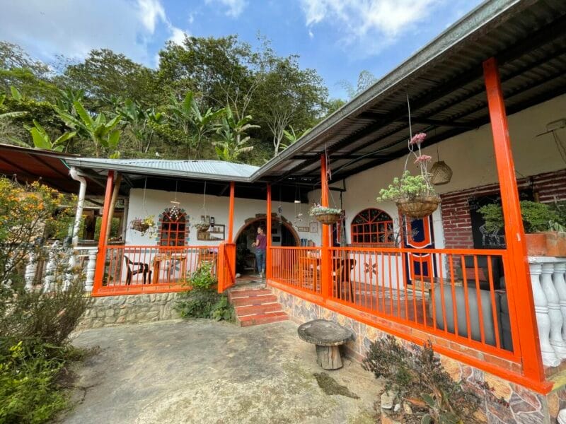 Flora del Río, Pijao