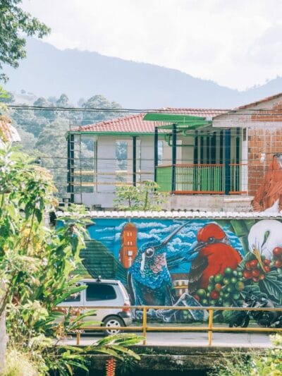 Pijao, bello pueblo del eje cafetero (que hacer en Pijao 2022)