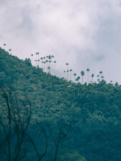 Pijao, bello pueblo del eje cafetero (que hacer en Pijao 2022)