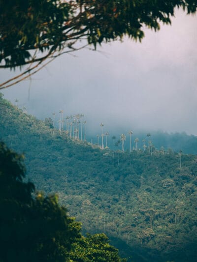 Pijao, bello pueblo del eje cafetero (que hacer en Pijao 2022)