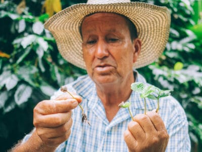 Pijao, bello pueblo del eje cafetero (que hacer en Pijao 2022)