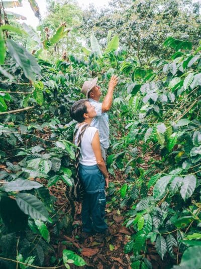 Pijao, bello pueblo del eje cafetero (que hacer en Pijao 2022)