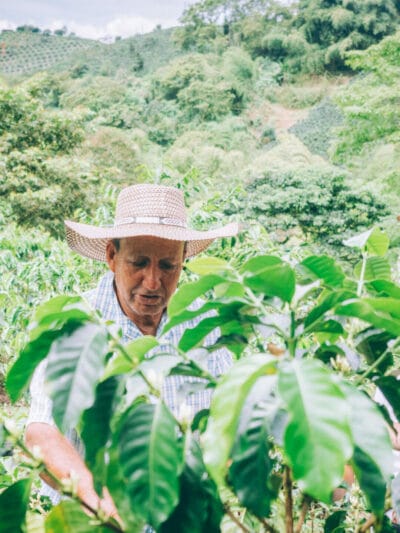 Pijao, bello pueblo del eje cafetero (que hacer en Pijao 2022)