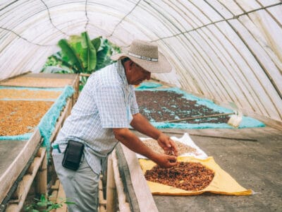 Pijao, bello pueblo del eje cafetero (que hacer en Pijao 2022)