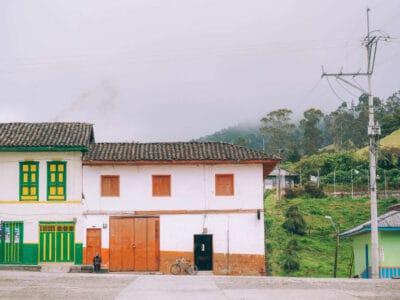 San Felix y el Valle de la Samaria, el otro bosque de Palma de cera