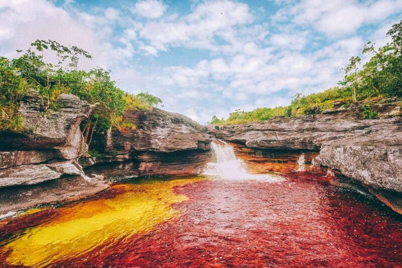 Guía para visitar Caño Cristales, el río más lindo del mundo