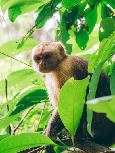 Parque Tayrona, toda la información para tu viaje
