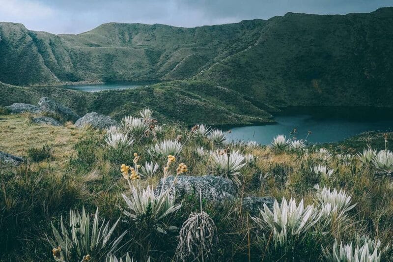 Paramo de Chingaza, Lagunas de Siecha