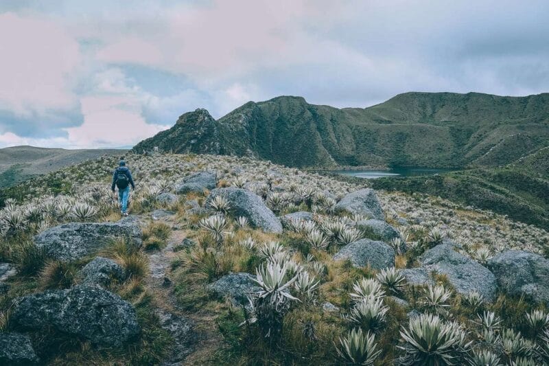 Paramo de Chingaza, Lagunas de Siecha