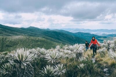 Paramo de Chingaza, Lagunas de Siecha