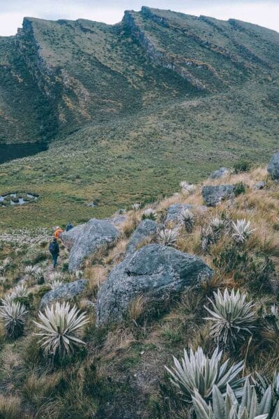 Paramo de Chingaza, Lagunas de Siecha