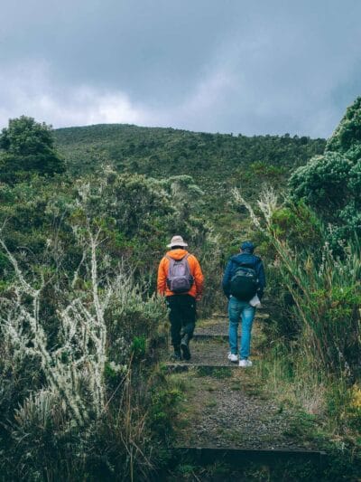 Paramo de Chingaza, Lagunas de Siecha