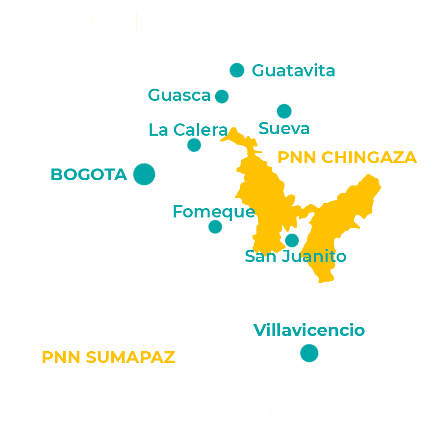 Paramo de Chingaza, Lagunas de Siecha