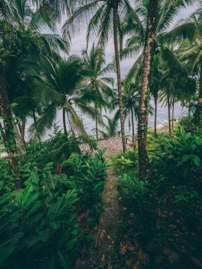 Punta Brava en Arusi, 3 días increíbles entre selva y mar